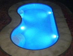 Bean Shaped Pool Manufacturer in Delhi